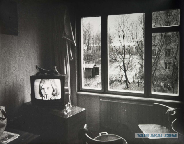 Фотограф Борис Михалевкин: тихая жизнь
