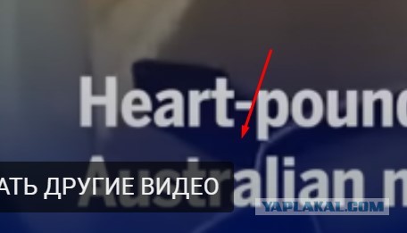 Погоня за бешенной табуреткой