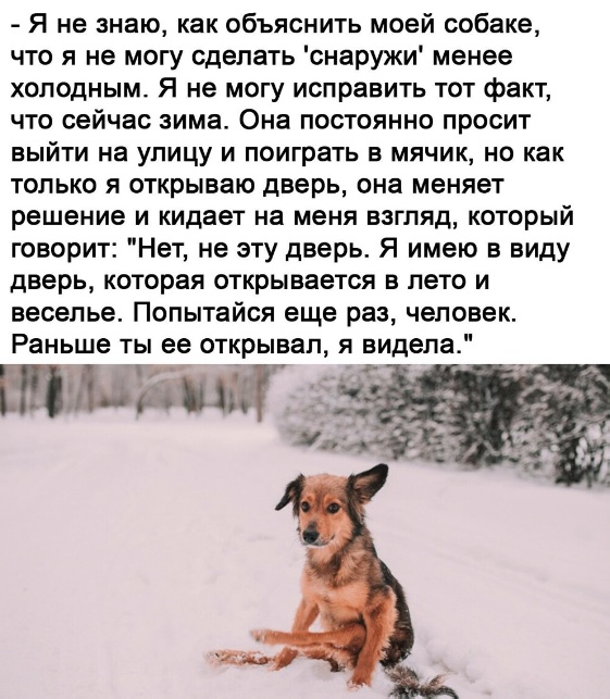 Дело было вечером, выпить было нечего 2