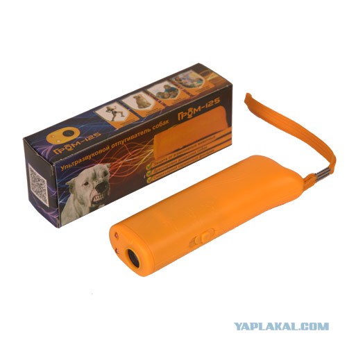 Убил питбультерьера, которого натравил хозяин