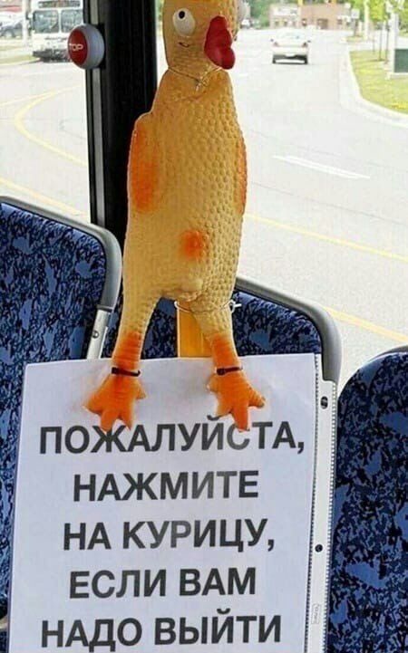 Перлы 04.02.24