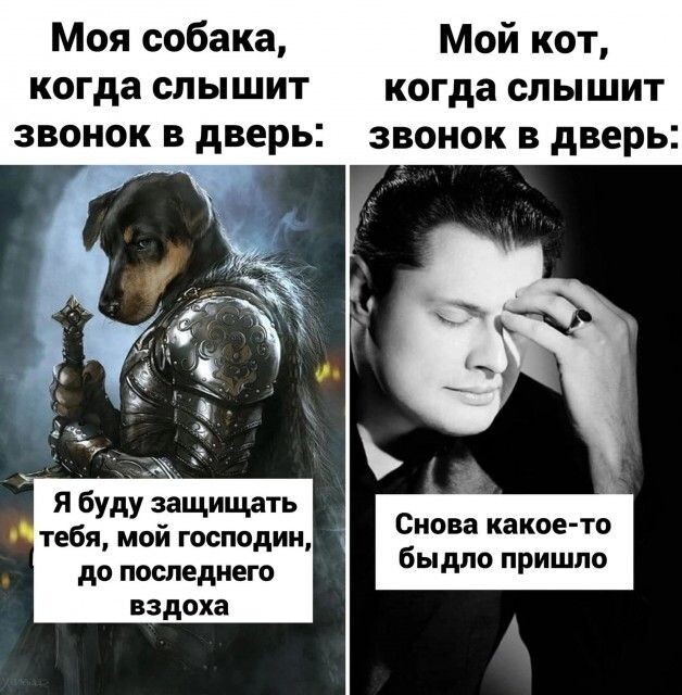 Юмор в картинках и без