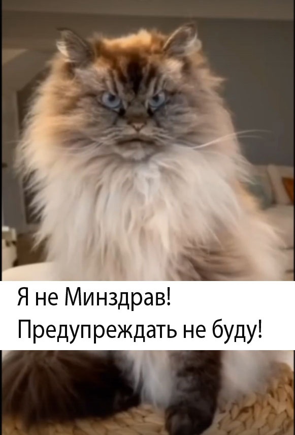 Так себе картинки 05.08.24