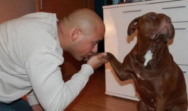 Картинки разные, возможны баяны