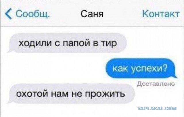 Так себе картинки 22.10.24
