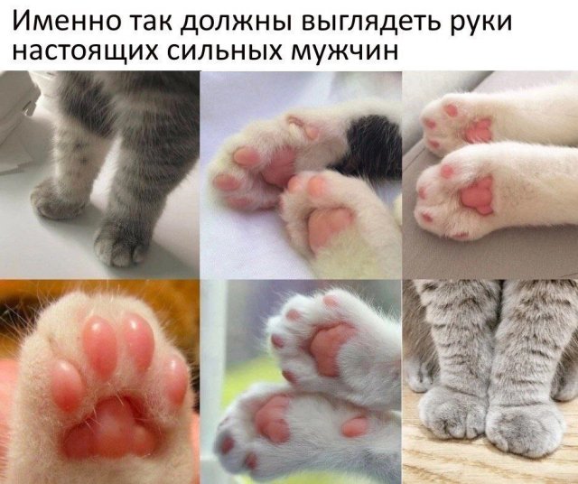 Так себе картинки 11.11.24