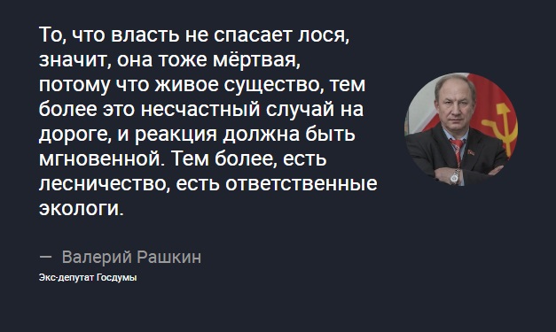 Разрешилась судьба ранее сбитого лосёнка в Подмосковье