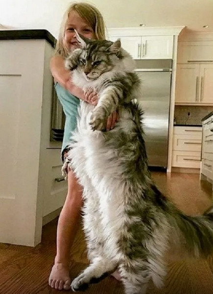 Не дотерплю до вторника