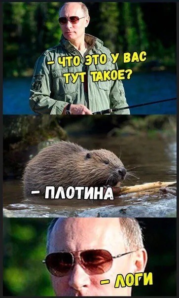 Плоти нолог