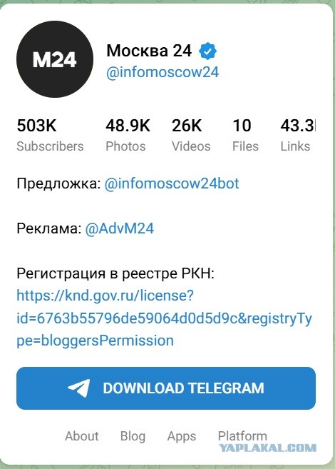 В Госдуме заявили, что в России уже никто не пользуется Telegram