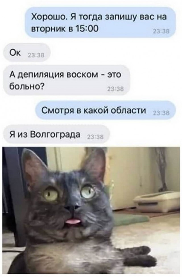 Веселые картинки в пятницу (17.04)