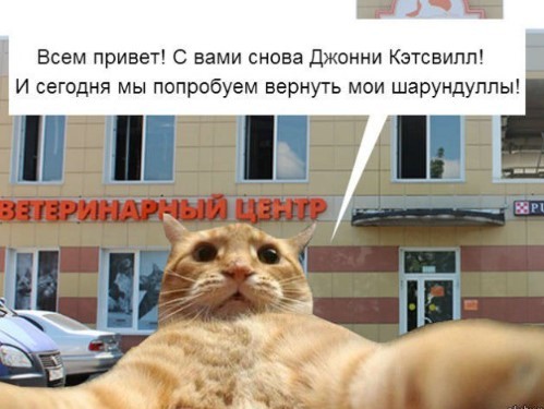 Картиночки, баянчики в начале мая