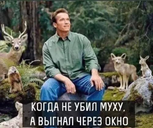 Субботние картинки