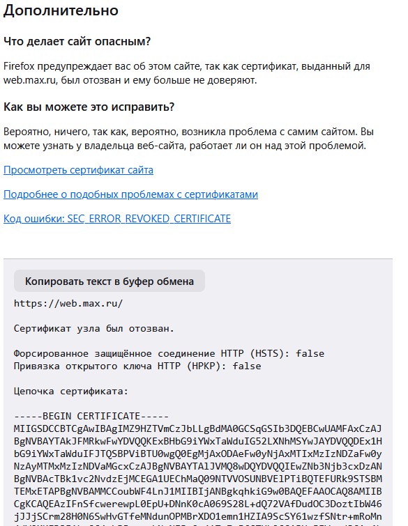 Веб-версия Макса перестала открываться у некоторых юзеров