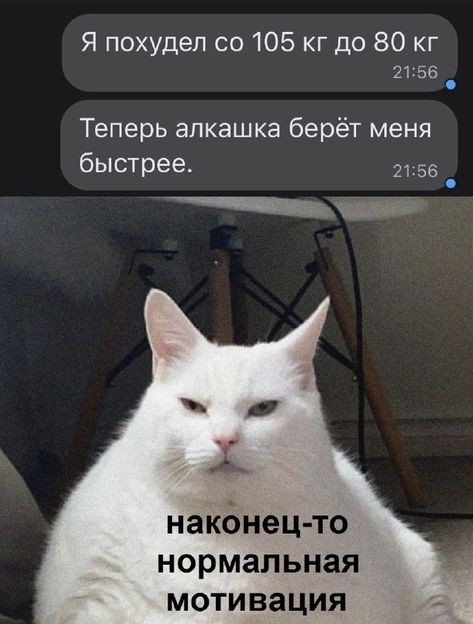 Картинки для настроения