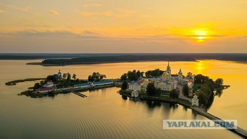 ДНК-тест