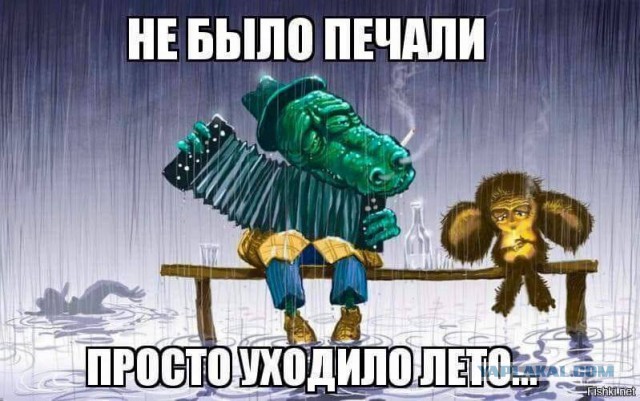 Вот лето пролетело...