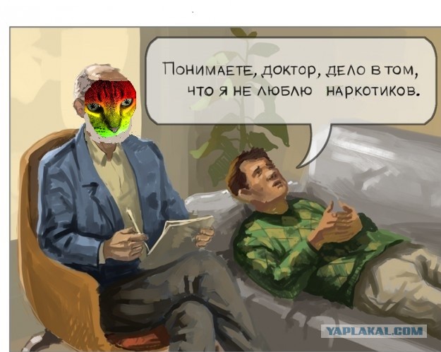 Все любят котиков!