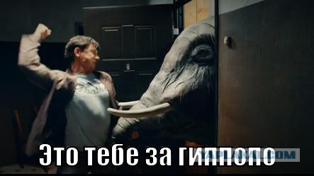 Бой двух гигантов: слон против бегемота