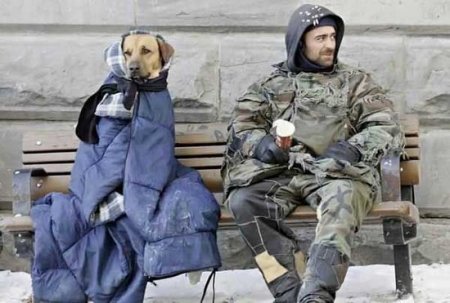 Подборка прикольных фото.