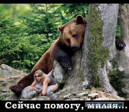 Смешные картинки и комментарии