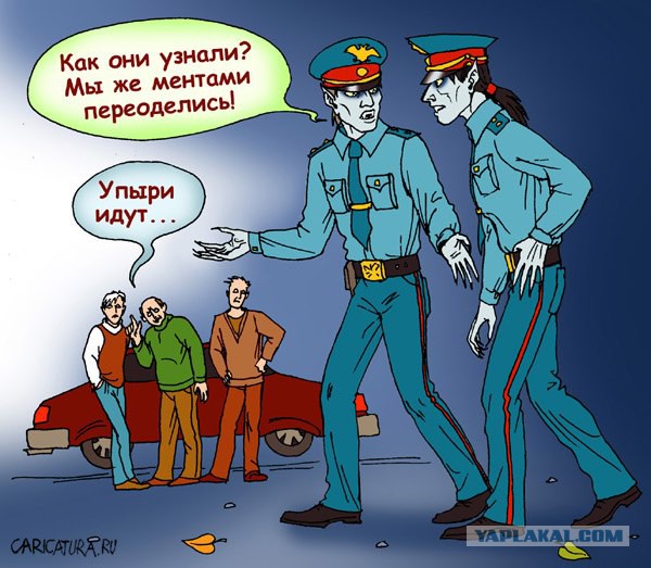 Весёлые картинки
