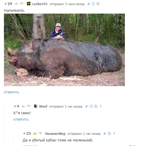 Смешные комментарии из социальных сетей