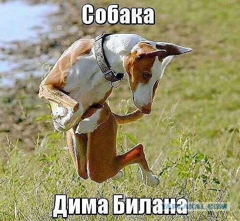 Весёлое из сети
