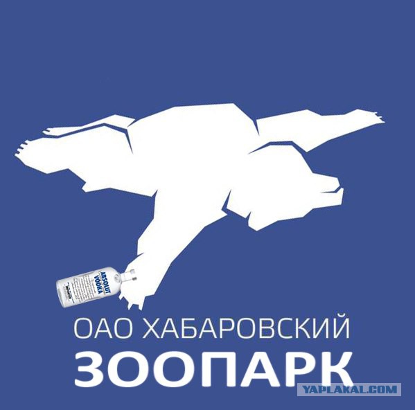 Логотип аэропорта в Хабаровске