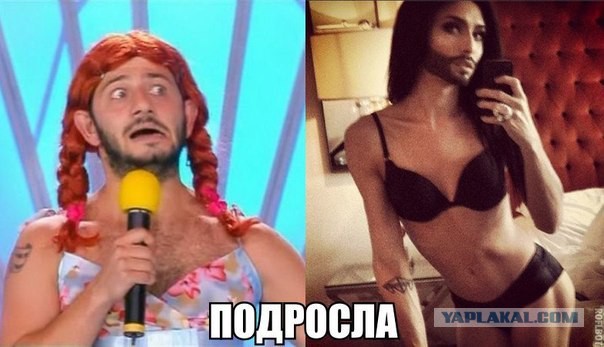 Прикольные картинки из сети