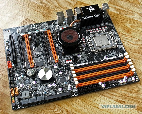 Необычные материнки (кунсткамера)