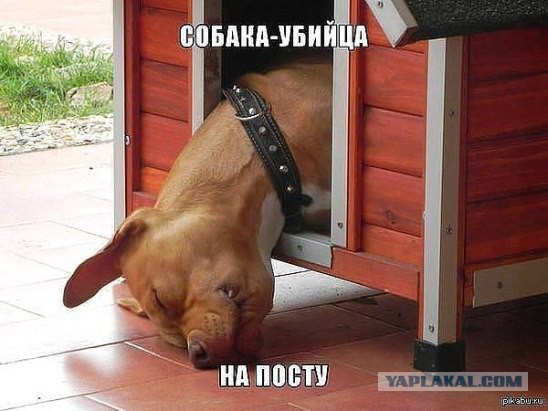 «Правый сектор» захватили власть во Львове