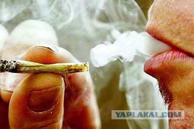 Что может происходить рядом с вами, в данную минут