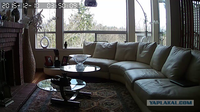 За что я люблю китайцев