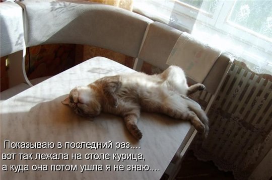 Картинки и демотиваторы