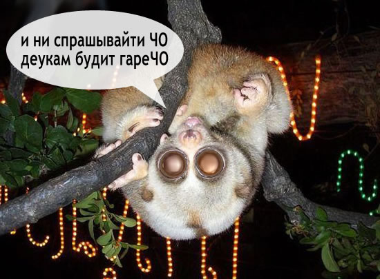 Скажите, пожалуйста, где я?