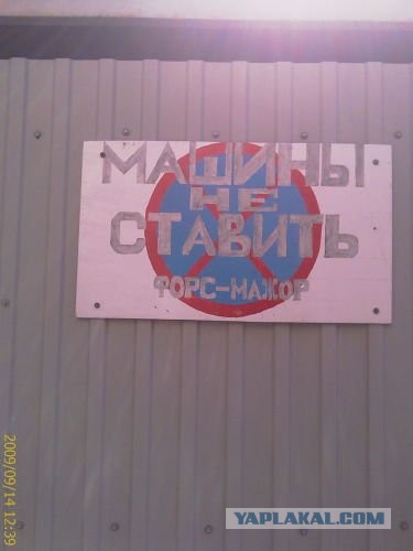 Весёлые картинки
