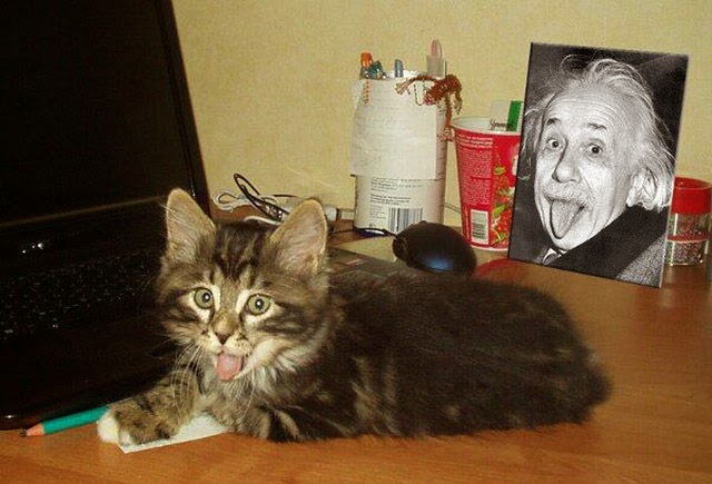 Интересные и смешные картинки!