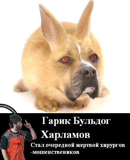 Фотожаба: Желтая пресса