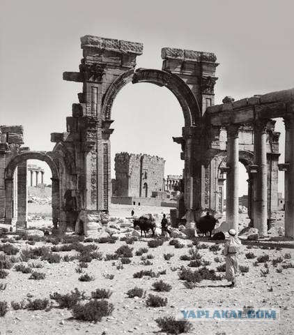 Египетский морок. Строительство колоссов, Сфинкса, пирамид на заре эры фотографий в 19 веке.