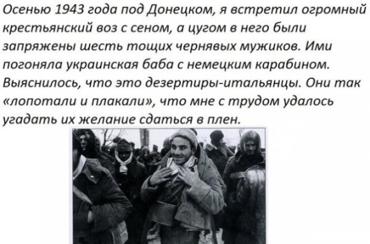 1941 год глазами немцев