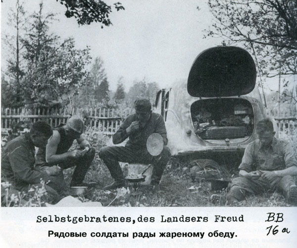 Волховский фронт. 1942. Взгляд с той стороны.