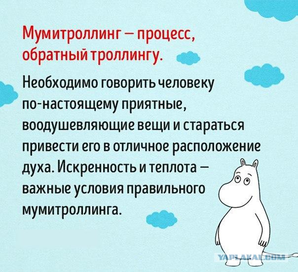 Австралиец спас детеныша коалы от собственной собаки