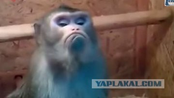 Почему рубль укрепляется, а доллар и евро дешевеют.