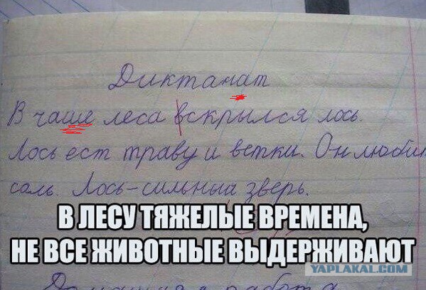 Смешные комментарии из социальных сетей 17.02.2016