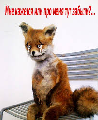Малыш лисёнок и центнер мимимишечек