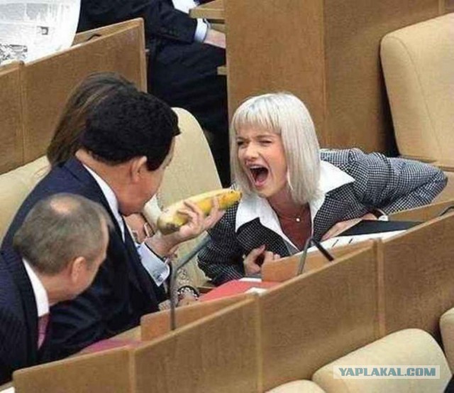 Ох и нелёгкая эта работа - быть депутатом