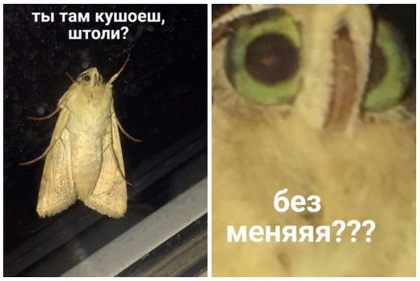 Субботняя деградация