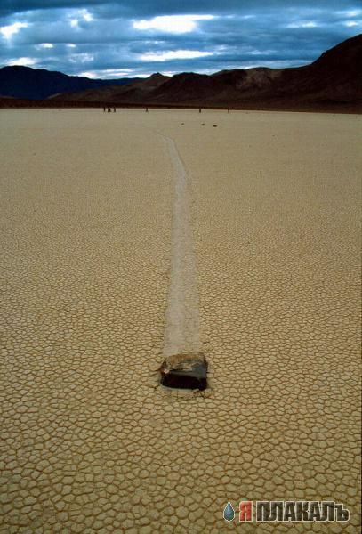 Они ползают...