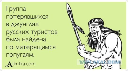 Австралийский попугай напевает рингтон с айфона каждый раз, когда расстраивается
